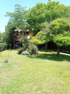 Make yourself at home in Halkidiki's paradise